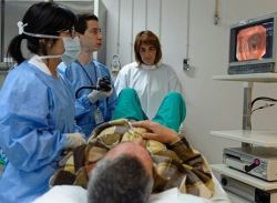 Обследование кишечника: разновидности, показания к процедуре