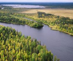 Водлозерский национальный парк: описание, площадь, флора и фауна, отзывы