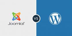 Joomla или WordPress: что лучше, обзор, особенности, отзывы