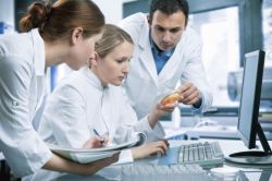 Лютеинизирующий гормон у женщин