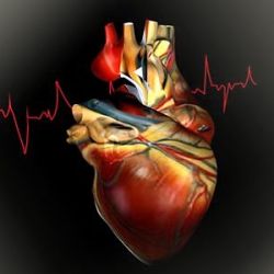 Острый коронарный синдром: клиника, диагноз, лечение