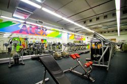 Фитнес-клуб Alex Fitness, СПб: фото, услуги, расписание, адреса, отзывы сотрудников и посетителей