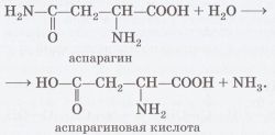 Аспарагиновая кислота: формула, свойства, применение, побочные эффекты