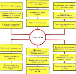 Гипокинезия - это... Описание, последствия, профилактика, виды и лечение