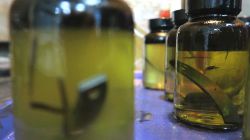 Ингибитор коррозии: виды, состав и способы применения