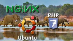 Сервер Nginx: настройка хостов