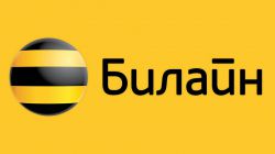 Домашний интернет 