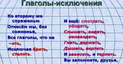 Правила русского языка: глаголы-исключения, их употребление в устной и письменной речи