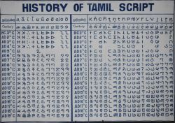Тамильский язык и его особенности
