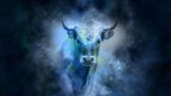 Год Быка: характеристика мужчин и женщин, совместимость