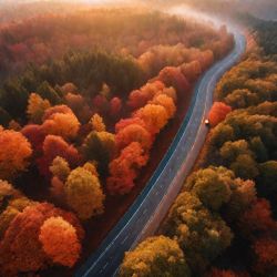 Автолампы 