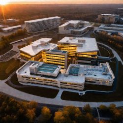 Врачебная ошибка: виды, причины, ответственность, практика, примеры