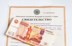 Что такое ИНН? Как его получить физическому и юридическому лицу