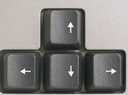 Как выделить весь текст? Выделение текста с помощью курсора и контекстного меню