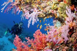 Какое в Египте море и где лучшие пляжи