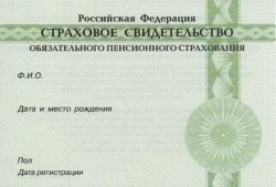 Где, зачем и как оформить СНИЛС ребенку? Оформление СНИЛС на ребенка через 