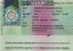 Как получить шенгенскую визу самостоятельно? Насколько быстро можно получить шенгенскую визу?