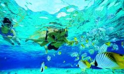 Отдых на Пхукете. Пхукет: погода, отзывы, цены