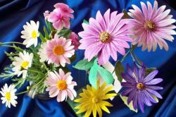 Как нарисовать ромашку, королеву полевых цветов