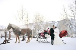 Зимняя свадьба: идеи оформления и сценария. Оригинальные и интересные идеи для зимней свадьбы