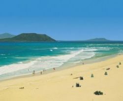 Отдых на Канарских островах: отзывы