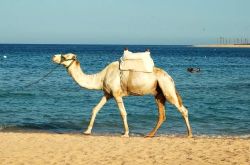 Где отдохнуть зимой на море: советы и рекомендации