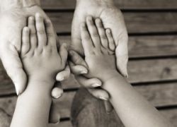Как не платить алименты? С какого дохода удерживаются алименты?