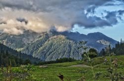 Где отдохнуть в Абхазии летом дикарем, с ребенком, молодежи? Отзывы, где лучше отдыхать в Абхазии