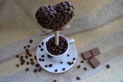 Как сделать топиарий своими руками? Пошаговая инструкция