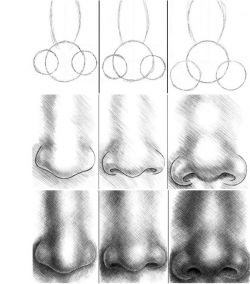Как нарисовать нос человека поэтапно