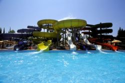 Отдых в Адлере: советы, фото и отзывы туристов. Недорогой отдых в Адлере