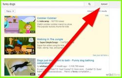 Как выложить видео в интернет? Учимся выкладывать в YouTube и 
