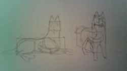 Практическое руководство как нарисовать собаку карандашом поэтапно