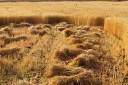 Природно-климатические зоны России