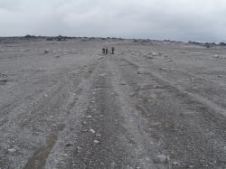 Кайнозойская эра: периоды, климат. Жизнь в кайнозойскую эру
