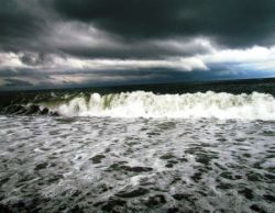 Соленость воды Черного моря. Какова соленость Черного моря?