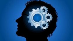 Социальное познание общества. Социальное познание: психология