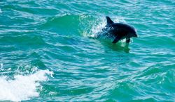 Вода и ее свойства физические и химические. Структура воды