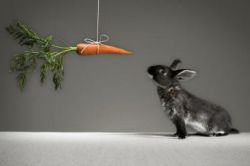 Что такое мотив. Виды мотивов и их классификация