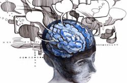 Свойства восприятия в психологии. Свойства ощущения и восприятия