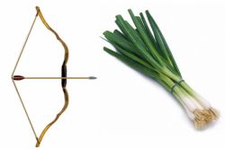 Омонимы: примеры слов