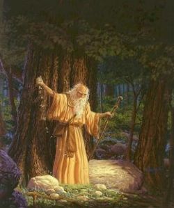 Древесный гороскоп друидов: структура и совместимость знаков кельтского гороскопа