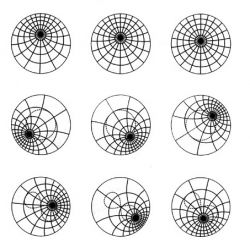 Принцип Дирихле: задачи с решениями