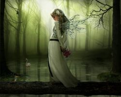 Существуют ли феи? Как выглядят настоящие феи