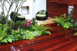 Фен-шуй для дома. Расстановка мебели, цветы по фен-шуй