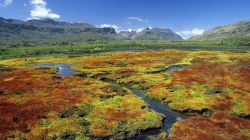 Полезные ископаемые Африки: распространение и основные месторождения