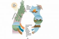 Второй закон термодинамики. Трактовки, теоретическое и практическое обоснование