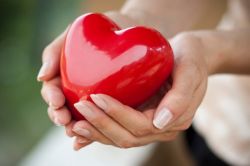 Определяем, с какой стороны сердце находится