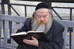 Ортодоксальные евреи. Религия, обычаи евреев