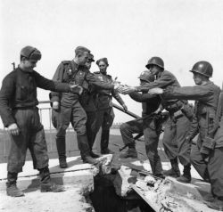 Когда произошла встреча на Эльбе?